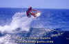ACTION-004.jpg (39137 byte)