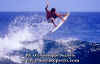 ACTION-005.jpg (41625 byte)