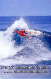 ACTION-015.jpg (39854 byte)