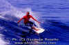 GB-001.jpg (46651 byte)