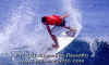 PATRICK-001.jpg (41950 byte)