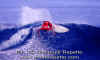 Surfer-Rule-Eneko-001.jpg (35268 byte)