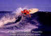 Surfer-Rule-Eneko-002.jpg (44131 byte)
