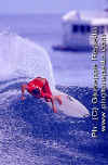 Surfer-Rule-Eneko-004.jpg (42391 byte)