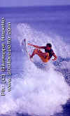 Surfer-Rule-Eneko-005.jpg (33137 byte)