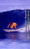 Surfer-Rule-Pablito-002.jpg (33710 byte)