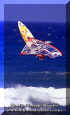 RV-Wind-Surf-001.jpg (36765 byte)