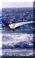 RV-Wind-Surf-021.jpg (53683 byte)