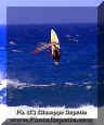 RV-Wind-Surf-023.jpg (28245 byte)