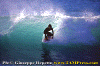 01-Ettore-001.gif (78987 byte)