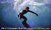 01-Ettore-002.gif (77851 byte)