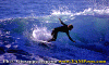 01-Ettore-003.gif (79310 byte)