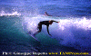 01-Ettore-008.gif (82133 byte)