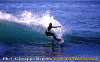 01-Ettore-010.gif (81525 byte)