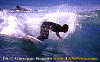 01-Ettore-011.gif (87049 byte)