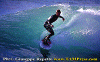 01-Ettore-012.gif (82656 byte)
