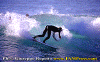 01-Ettore-013.gif (86405 byte)