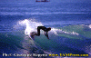 01-Ettore-014.gif (81612 byte)