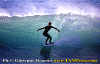 01-Ettore-0150.gif (77388 byte)
