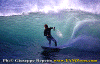 01-Ettore-015a.gif (77654 byte)