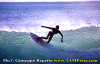 01-Ettore-015b.gif (79465 byte)
