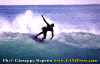 01-Ettore-015c.gif (78335 byte)