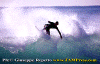 01-Ettore-015d.gif (80138 byte)