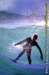 01-Ettore-016a.gif (79512 byte)