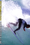 01-Ettore-016c.gif (79368 byte)