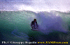 01-Ettore-019.gif (76836 byte)