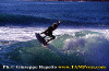 01-Ettore-020.gif (84610 byte)