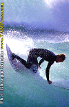 01-Ettore-021d.gif (73348 byte)