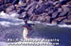 8-3-Ettore-006b.jpg (41947 byte)