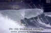 Bogliasco-EBurdese-001.jpg (33006 byte)