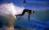Ettore-001.gif (70602 byte)