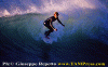 Ettore-002.gif (61757 byte)