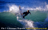 Ettore-005.gif (70472 byte)