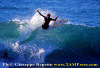 Ettore-006.gif (77190 byte)