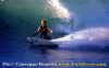 Ettore-007.gif (64899 byte)