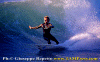 Ettore-008.gif (69006 byte)