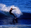 Ettore-009.gif (89176 byte)