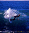 Ettore-012.gif (75195 byte)