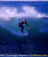 Ettore-013.gif (86440 byte)