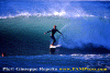 Ettore-014.gif (69583 byte)