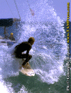 Ettore-019.gif (98442 byte)