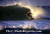 Ettore-021.gif (36358 byte)