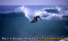 Ettore-023.gif (54455 byte)