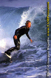 Ettore-024.gif (78202 byte)