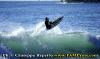 Ettore-025.gif (59944 byte)
