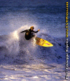 Ettore-026.gif (99778 byte)
